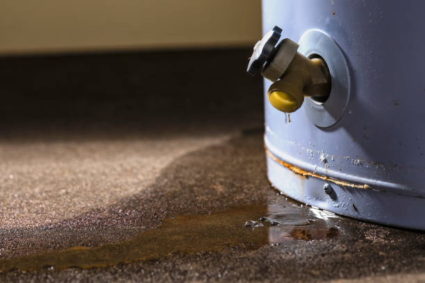 Best Carpet water damage restoration  in Hebron, KY