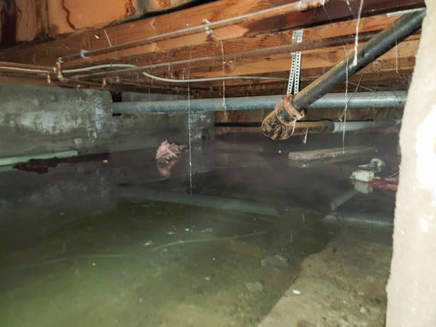 Best Flood damage cleanup  in Hebron, KY