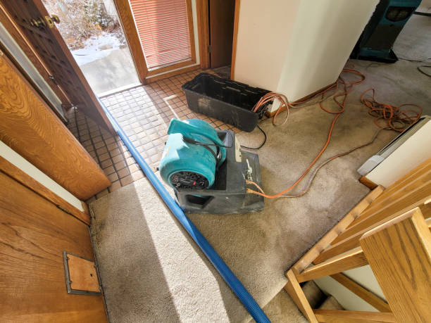 Best Professional water damage repair  in Hebron, KY