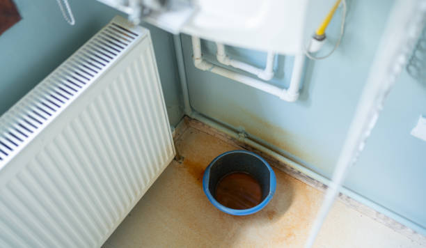 Best Water damage restoration mold remediation  in Hebron, KY