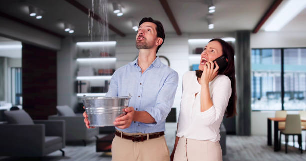 Best Water damage contractors near me  in Hebron, KY