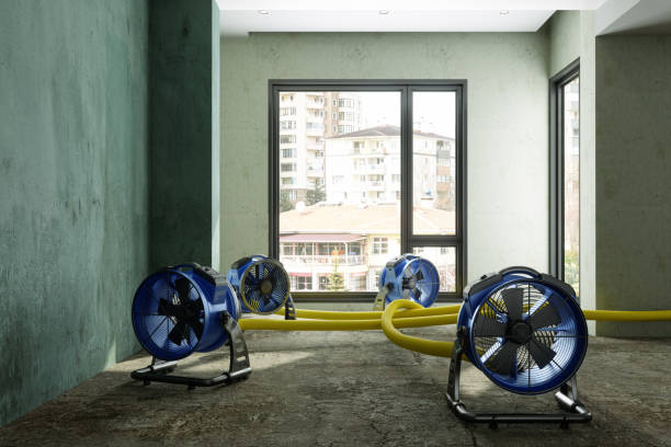 Best Water damage restoration experts  in Hebron, KY